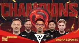 黑马之旅！Entity战队从海选杀入Major四强！